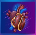 Realistic Vector Illustration Human Healthy Heart Royalty Free Stock Photo