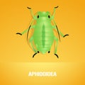 Realistic vector illustration of insect Aphidoidea, aphis Royalty Free Stock Photo