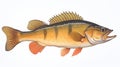 Vibrant Mural Style: Smallmouth Bass Fish On White Background