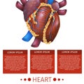 Realistic Vector Illustration Medical System Heart