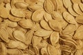 Realistic vector illustration of pumpkin seed texture. Pumpkin seeds as a background