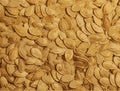 Realistic vector illustration of pumpkin seed texture. Pumpkin seeds as a background