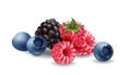 Realistic vector illustration set features a group of ripe and juicy berries, including blueberries, raspberries, and blackberries