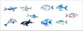 Realistic Vector Illustration of Various Marine Animals Including Whale, Shark, and Fish