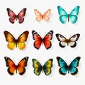 Realistic Vector Illustrations Of Different Colored Butterflies