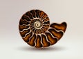 Realistic vector picture fossil Ammonite Nacre color on light background. pearly, golden, pure and airy.