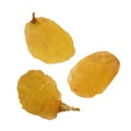 Realistic Vector Raisins on White Background