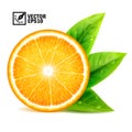 Realistic vector set of elements: slice of fresh orange with leaves and dew drops Editable handmade mesh