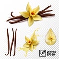 Realistic vector set of elements: vanilla flower and pods or sticks, vanilla splash and drops