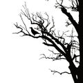 Realistic vector silhouette of sitting raven on dry tree branch Royalty Free Stock Photo