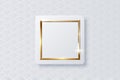 Realistic vector sparkling shiny glowing golden square on white button isolated on abstract chinese traditional oriental Royalty Free Stock Photo