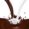 Realistic vector splashes. Milk and chocolate flows isolated on white background Royalty Free Stock Photo