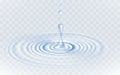 Realistic vector transparent drops and circle ripple on the water