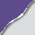 Realistic vector violet ripped paper with space for your text, i Royalty Free Stock Photo