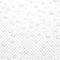 Realistic vector water rain drops on alpha transparent background. Condensed pure droplets. Vector clear water bubbles Royalty Free Stock Photo