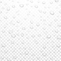 Realistic vector water rain drops on alpha transparent background. Condensed pure droplets. Vector clear water bubbles on window Royalty Free Stock Photo