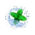 Realistic vector water splash with green peppermint leaves Fresh splashing drink with mint. Vector Royalty Free Stock Photo