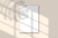 Realistic Vector Window and Leaf Shadow. Overlay effect for mock up template. Empty paper sheet with shadows. Royalty Free Stock Photo