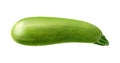 Realistic Vegetable Marrow