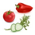 Realistic vegetables, sweet peppers, tomatoes and cucumbers on a white background, vector illustration