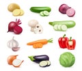 Realistic veggies plants, ingredients for cooking Royalty Free Stock Photo