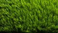 Realistic and vibrant artificial grass texture background for versatile design and decoration
