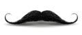 Realistic Vintage Black curly mustache. Vector Illustration isolated on a white background.