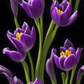 Realistic violet tulip flowers illustration seamless pattern on black background Royalty Free Stock Photo