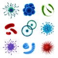 Realistic Viruses Set