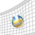 Vector realistic beach volley ball in net isolated