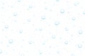 Realistic water drops condensed on white background. Rain droplets on transparent surface. Pure bubbles isolated vector Royalty Free Stock Photo