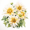 Realistic Watercolor Flower Arrangement: Yellow And White Daisy