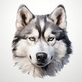 Realistic Watercolor Husky Wolf Head On Gray Background