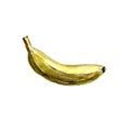 Realistic watercolor illustration banana isolated on white background