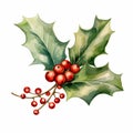 Realistic Watercolor Illustration Of Holly Leaf And Berries Royalty Free Stock Photo