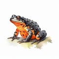 Realistic Watercolor Illustration Of Orange And Black Frog