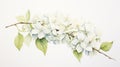 Delicately Detailed White Flower Watercolor Painting With Yucca Tree