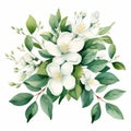 Realistic Watercolor Paintings: Symmetrical Arrangements Of White Flowers With Green Leaves Royalty Free Stock Photo