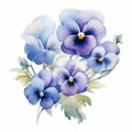 Realistic Watercolor Pansies Illustration With Elegant Blue Hues Royalty Free Stock Photo