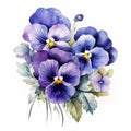 Realistic Watercolor Pansy Bouquet Illustration - Eye-catching Clipart Royalty Free Stock Photo