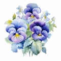 Realistic Watercolor Pansy Bouquet Illustration - Ueda Fumito Inspired Royalty Free Stock Photo