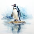 Realistic Watercolor Penguin Painting With Soft Tonal Colors