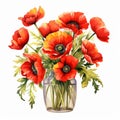 Realistic Watercolor Poppy Flowers In Vase Clip Art Royalty Free Stock Photo