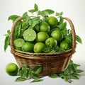 Realistic Watercolor Portrait Of Lime In A Basket - Highly Detailed Illustration