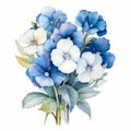 Realistic Watercolor Primrose Arrangement Clipart On White Background Royalty Free Stock Photo