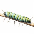 Vintage Watercolored Caterpillar Painting By Nick Cooghan