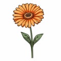 Realistic Watercolor Style Illustration Of A Single Gerber Daisy