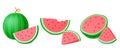 Realistic watermelon 3d set. Juicy fruits, watermelons cuts and half. Natural raw food slice, summer fresh vitamin fruit