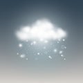 Realistic weather icons snow cloud