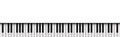 Realistic white background with text space black and white piano keys - Vector Royalty Free Stock Photo
